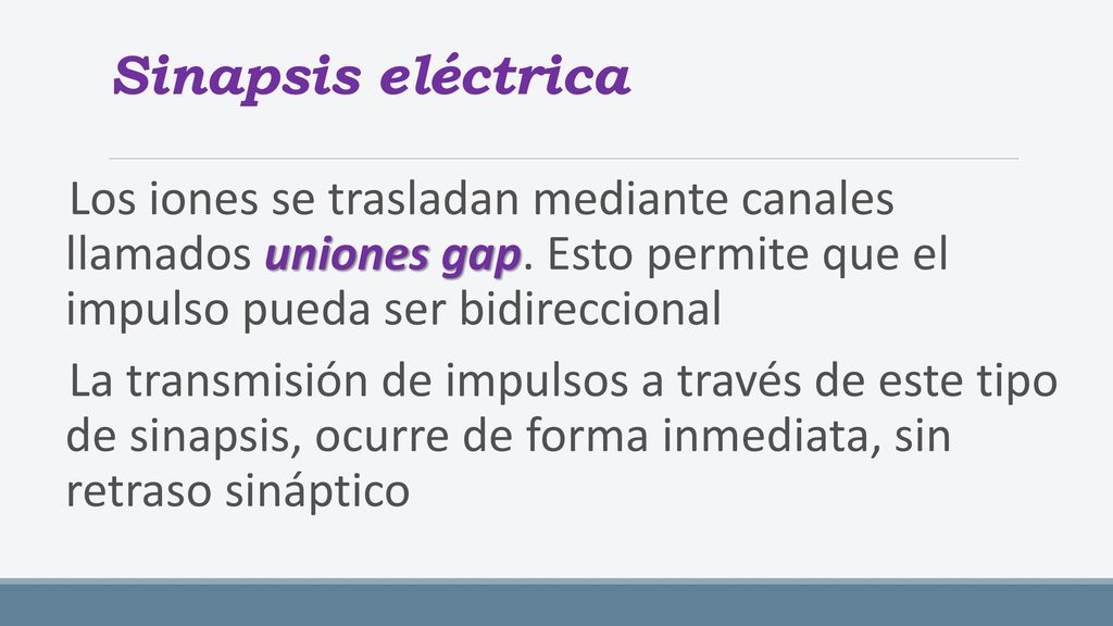 Sinapsis eléctrica Los iones se trasladan mediante canales llamados uniones gap. Esto permite que el impulso pueda ser bidireccional.