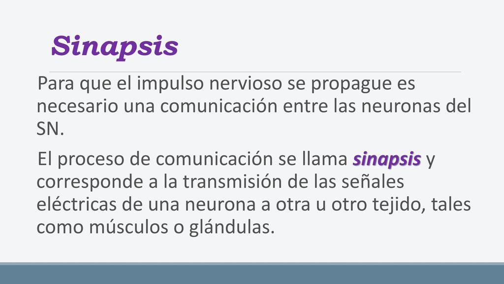 Sinapsis Para que el impulso nervioso se propague es necesario una comunicación entre las neuronas del SN.