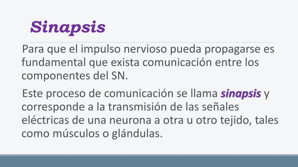 Sinapsis Para que el impulso nervioso pueda propagarse es fundamental que exista comunicación entre los componentes del SN.