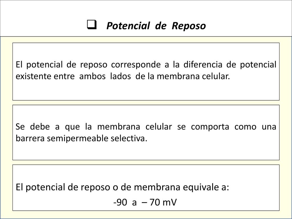 Potencial de Reposo El potencial de reposo o de membrana equivale a: