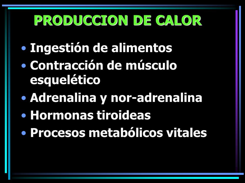 PRODUCCION DE CALOR Ingestión de alimentos