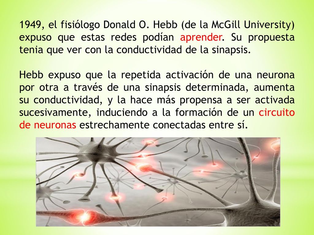 1949, el fisiólogo Donald O. Hebb (de la McGill University) expuso que estas redes podían aprender. Su propuesta tenia que ver con la conductividad de la sinapsis.