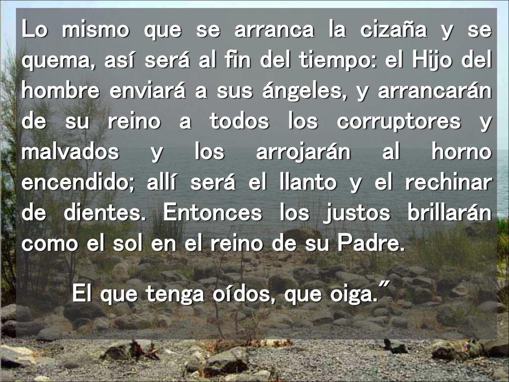 Lo mismo que se arranca la cizaña y se quema, así será al fin del tiempo: el Hijo del hombre enviará a sus ángeles, y arrancarán de su reino a todos los corruptores y malvados y los arrojarán al horno encendido; allí será el llanto y el rechinar de dientes. Entonces los justos brillarán como el sol en el reino de su Padre.