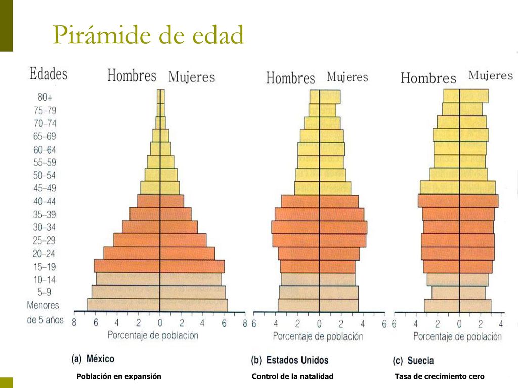 Pirámide de edad Población en expansión Control de la natalidad