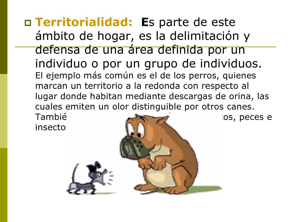 Territorialidad: Es parte de este ámbito de hogar, es la delimitación y defensa de una área definida por un individuo o por un grupo de individuos.