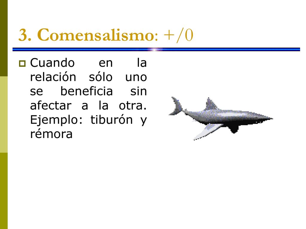 3. Comensalismo: +/0 Cuando en la relación sólo uno se beneficia sin afectar a la otra.