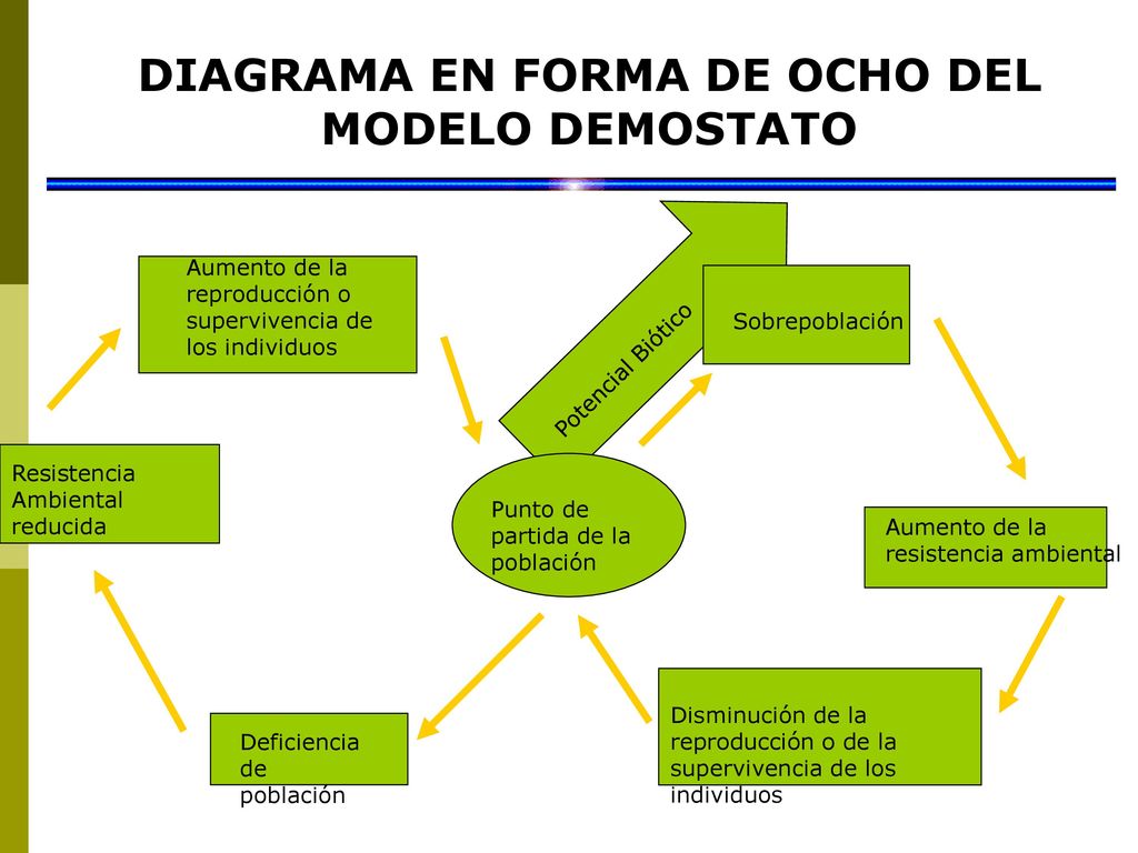 Arriba 7+ imagen modelo demostato ecologia