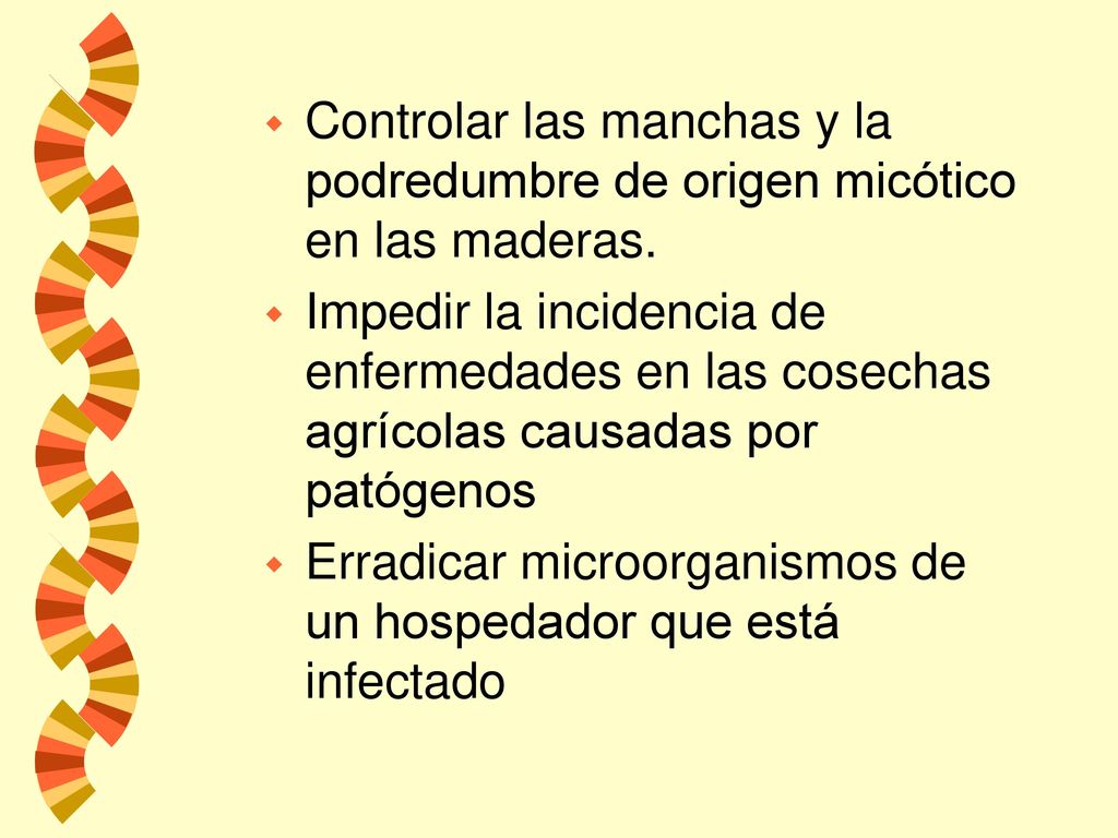 Controlar las manchas y la podredumbre de origen micótico en las maderas.