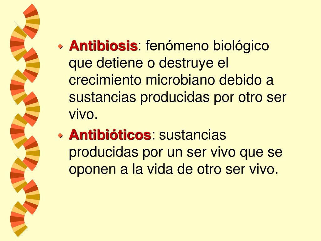 Antibiosis: fenómeno biológico que detiene o destruye el crecimiento microbiano debido a sustancias producidas por otro ser vivo.