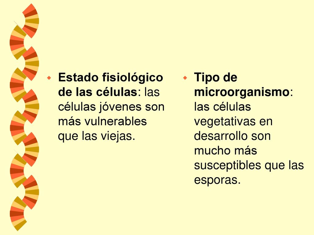 Estado fisiológico de las células: las células jóvenes son más vulnerables que las viejas.