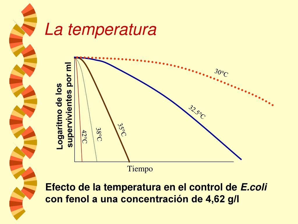 La temperatura Logaritmo de los supervivientes por ml. 42°C. 38°C. 35°C. 30°C. 32.5°C. Tiempo.