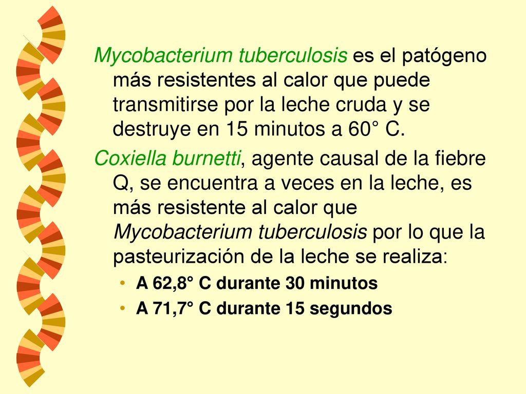 Mycobacterium tuberculosis es el patógeno más resistentes al calor que puede transmitirse por la leche cruda y se destruye en 15 minutos a 60° C.