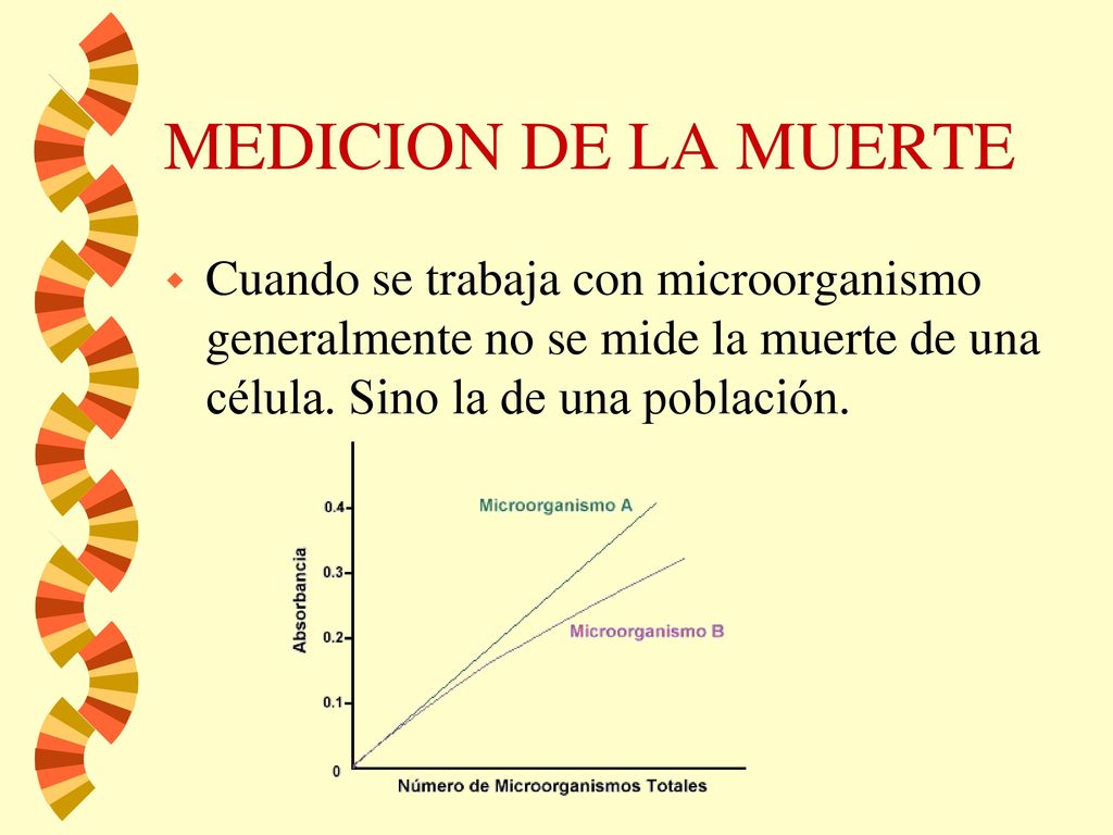 MEDICION DE LA MUERTE Cuando se trabaja con microorganismo generalmente no se mide la muerte de una célula.