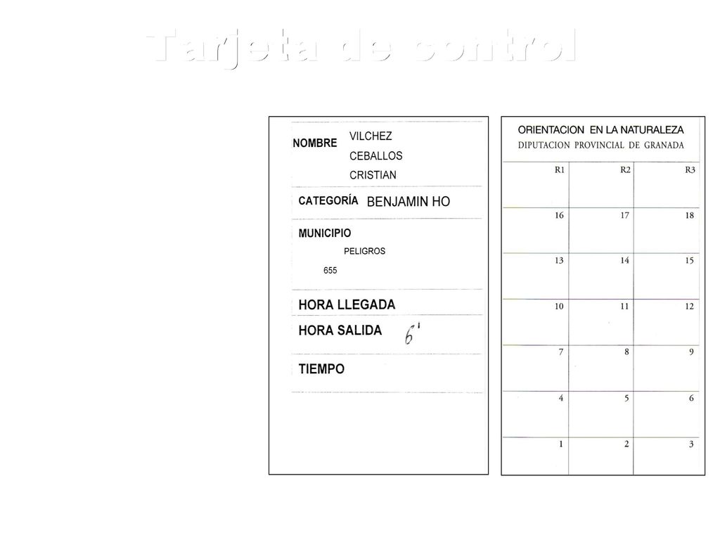 Tarjeta de control Se utiliza para grabar el paso por el control.