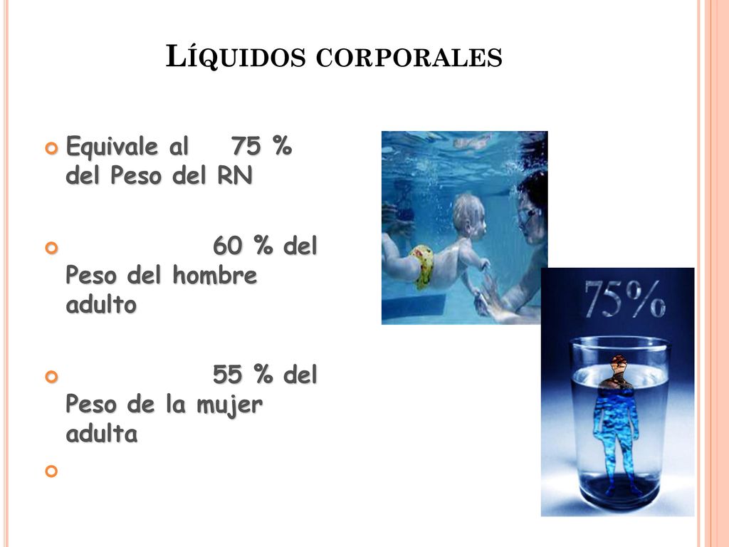 Líquidos corporales Equivale al 75 % del Peso del RN