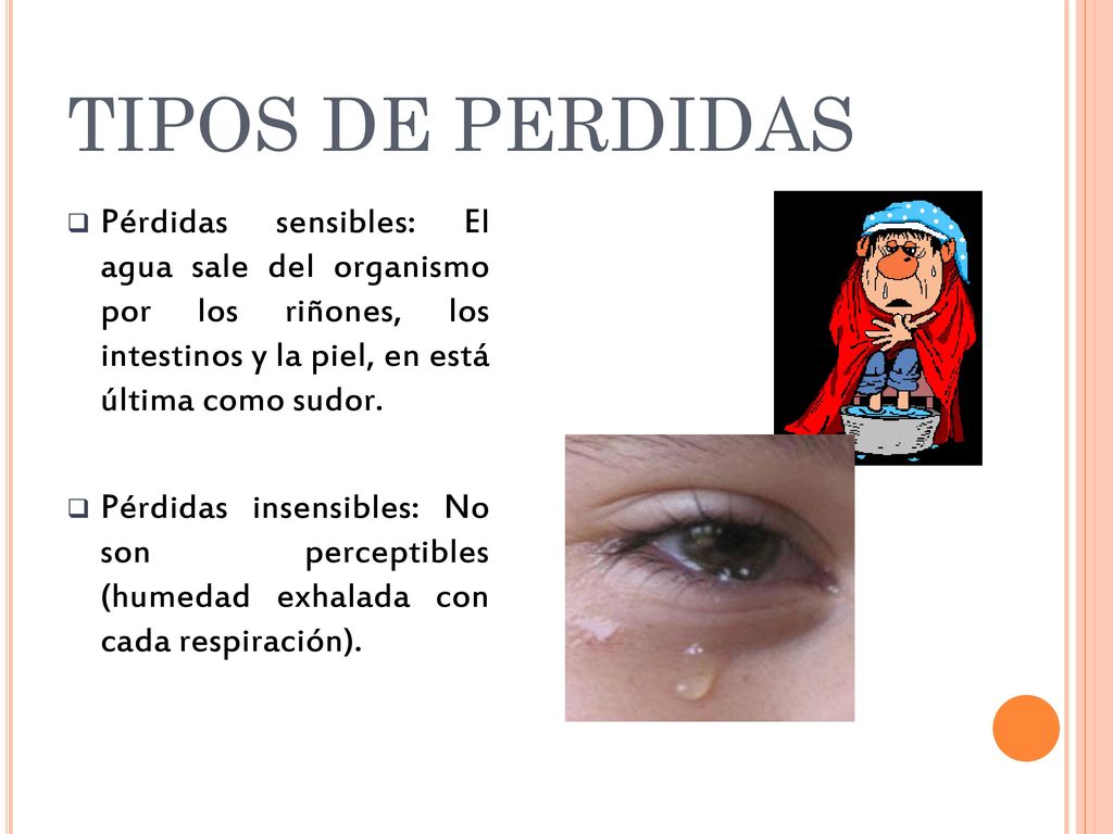 TIPOS DE PERDIDAS Pérdidas sensibles: El agua sale del organismo por los riñones, los intestinos y la piel, en está última como sudor.