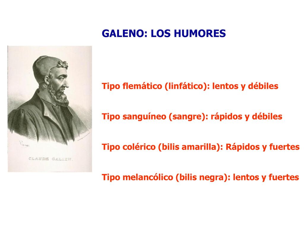 GALENO: LOS HUMORES Tipo flemático (linfático): lentos y débiles