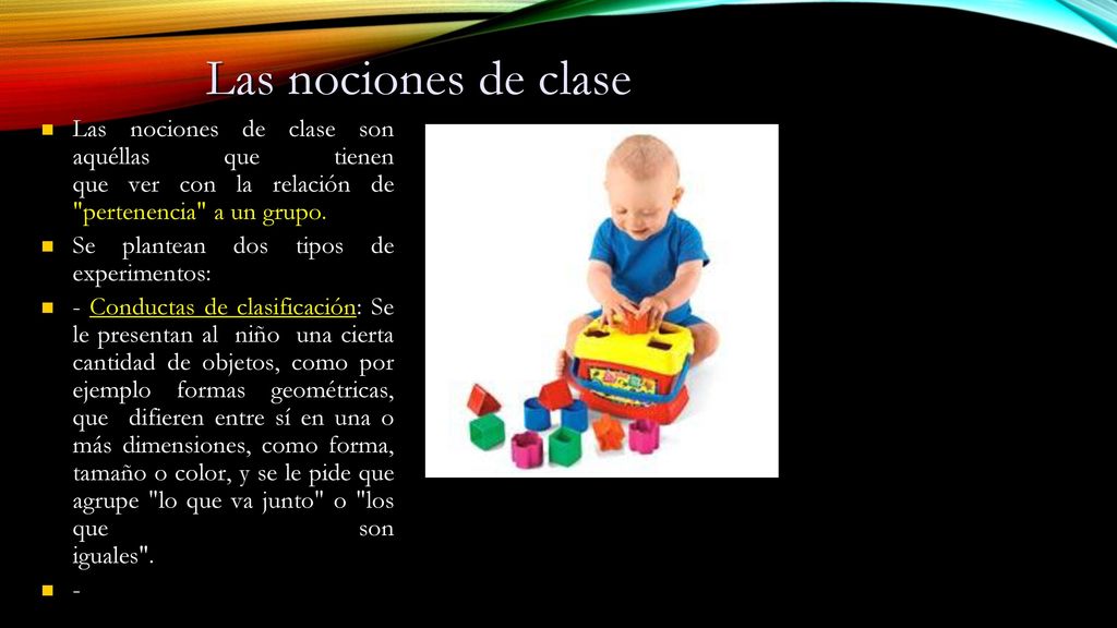 Las nociones de clase Las nociones de clase son aquéllas que tienen que ver con la relación de pertenencia a un grupo.