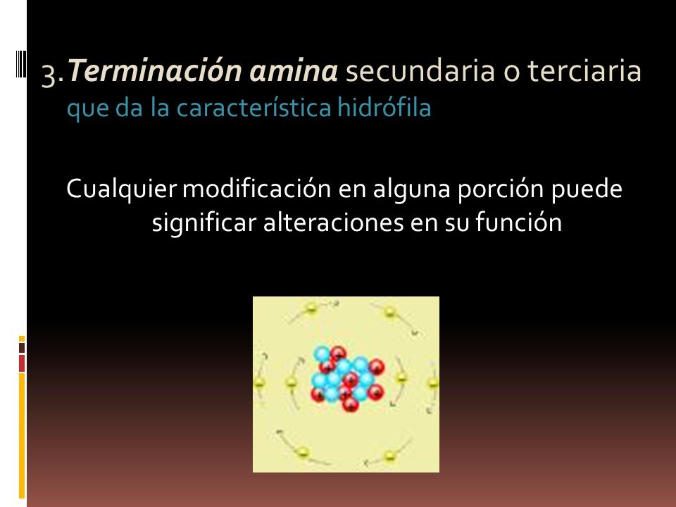 3.Terminación amina secundaria o terciaria que da la característica hidrófila