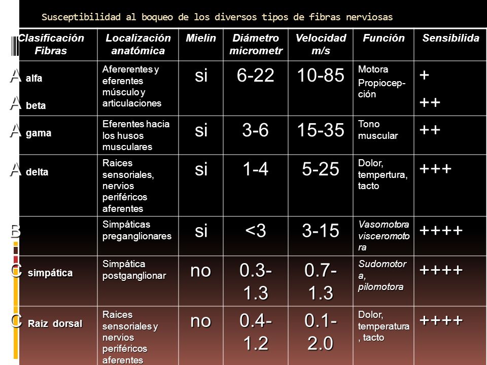 Susceptibilidad al boqueo de los diversos tipos de fibras nerviosas