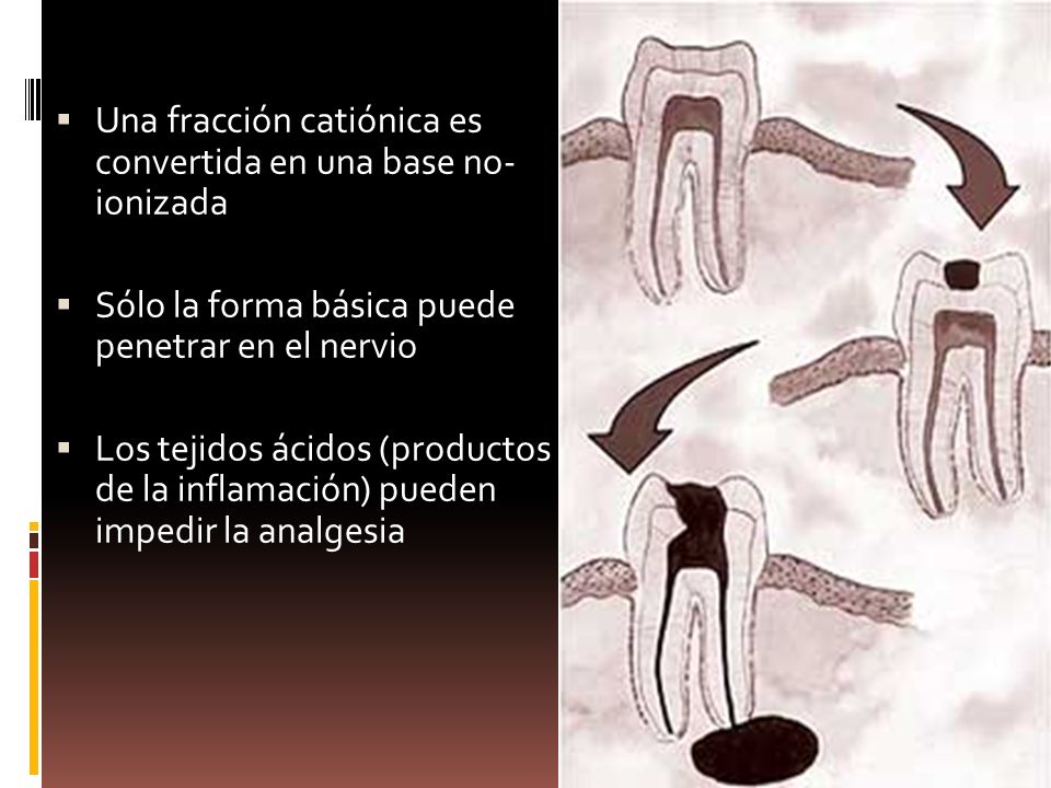 Una fracción catiónica es convertida en una base no- ionizada