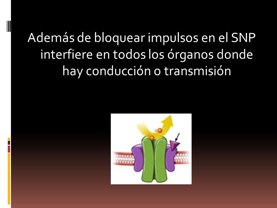 Además de bloquear impulsos en el SNP interfiere en todos los órganos donde hay conducción o transmisión