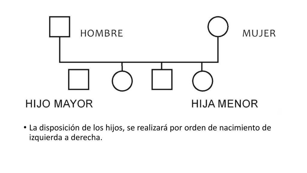 La disposición de los hijos, se realizará por orden de nacimiento de izquierda a derecha.