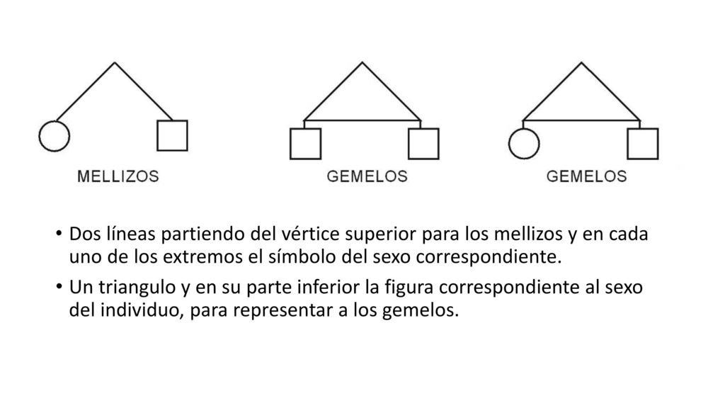 Dos líneas partiendo del vértice superior para los mellizos y en cada uno de los extremos el símbolo del sexo correspondiente.
