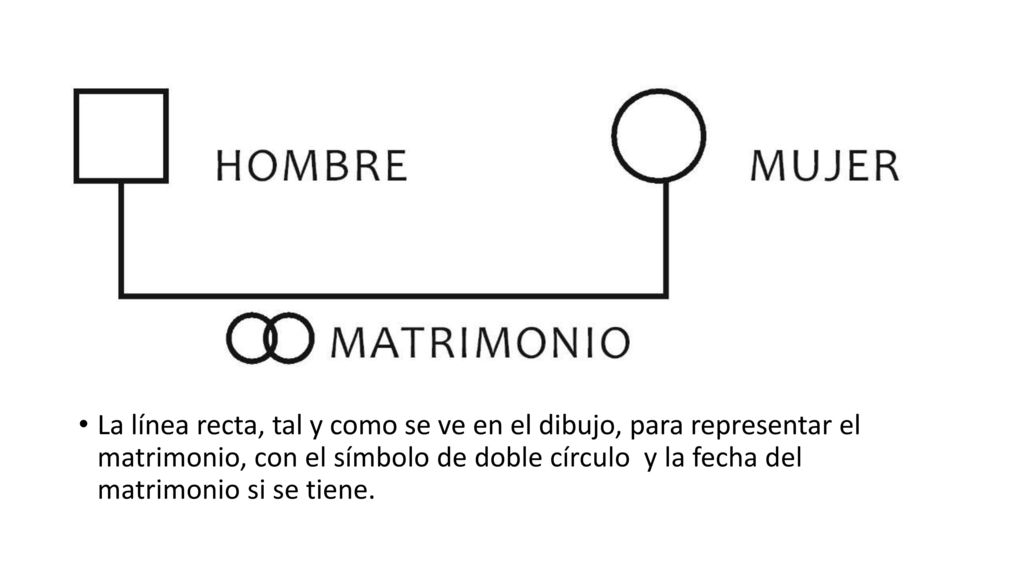 La línea recta, tal y como se ve en el dibujo, para representar el matrimonio, con el símbolo de doble círculo y la fecha del matrimonio si se tiene.