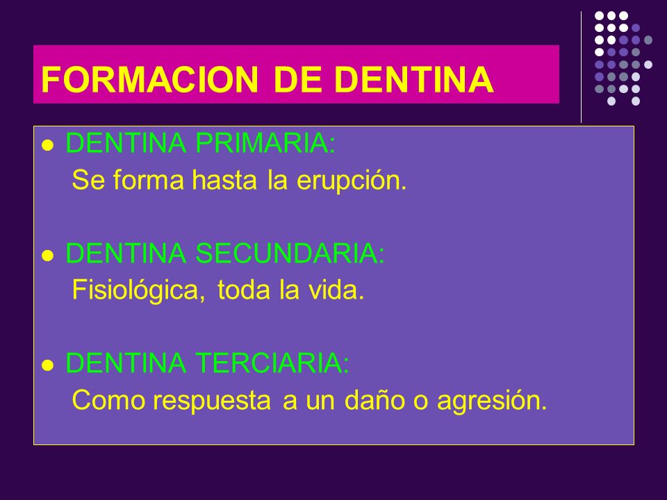FORMACION DE DENTINA DENTINA PRIMARIA: Se forma hasta la erupción.