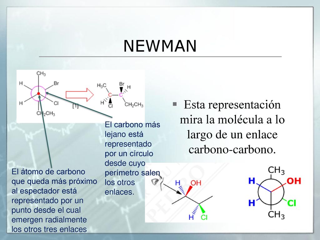 NEWMAN Esta representación mira la molécula a lo largo de un enlace carbono-carbono.