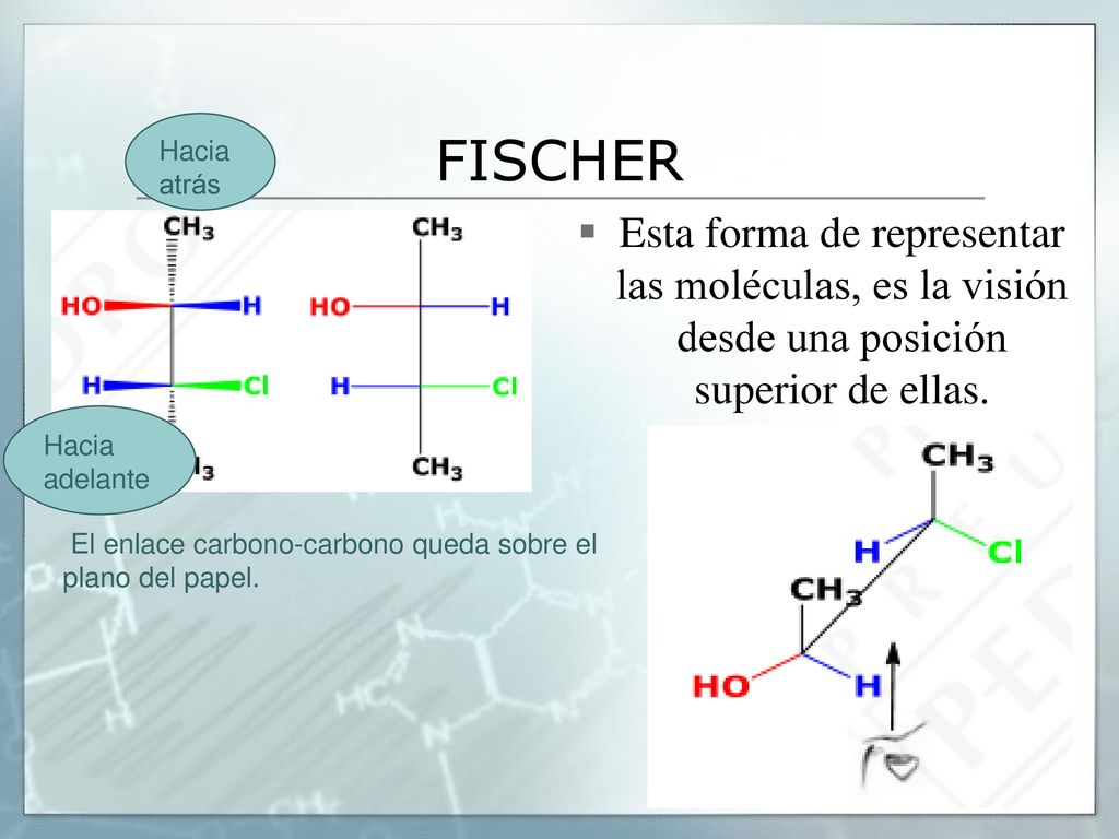 FISCHER Hacia atrás. Esta forma de representar las moléculas, es la visión desde una posición superior de ellas.
