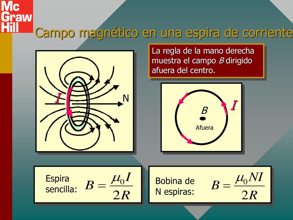 Campo magnético en una espira de corriente
