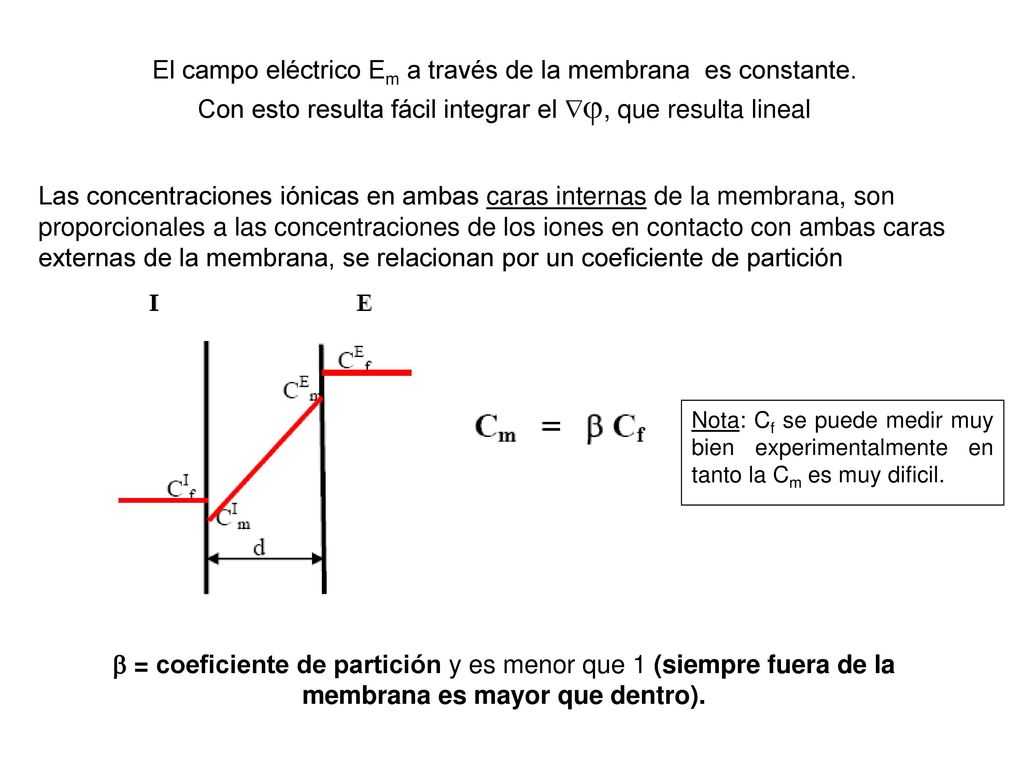 El campo eléctrico Em a través de la membrana es constante.