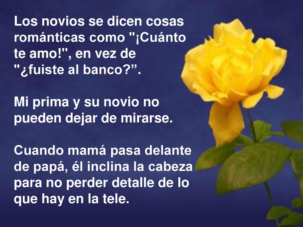 Los novios se dicen cosas románticas como ¡Cuánto te amo