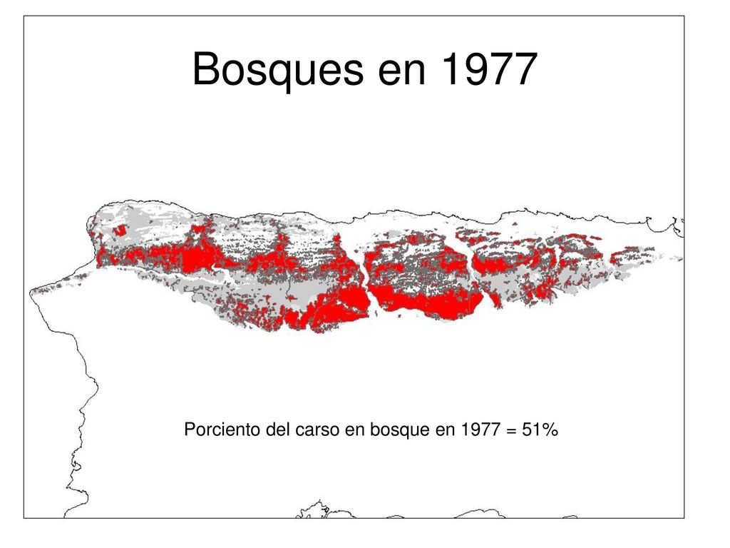 Bosques en 1977 Porciento del carso en bosque en 1977 = 51%