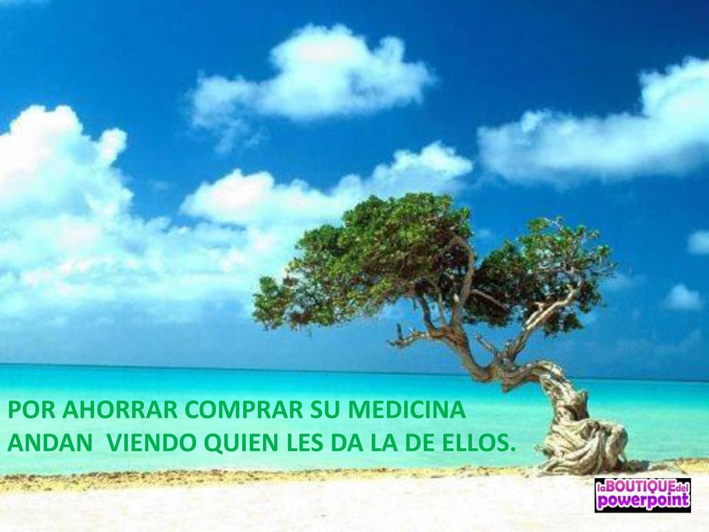 POR AHORRAR COMPRAR SU MEDICINA ANDAN VIENDO QUIEN LES DA LA DE ELLOS.