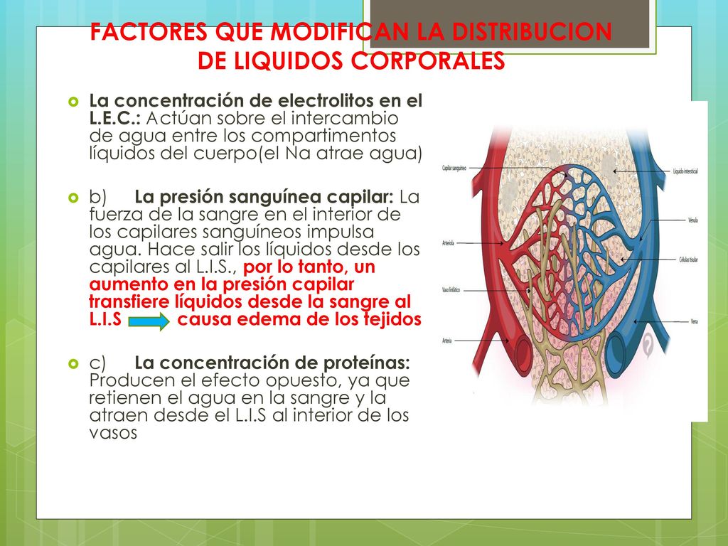 FACTORES QUE MODIFICAN LA DISTRIBUCION DE LIQUIDOS CORPORALES