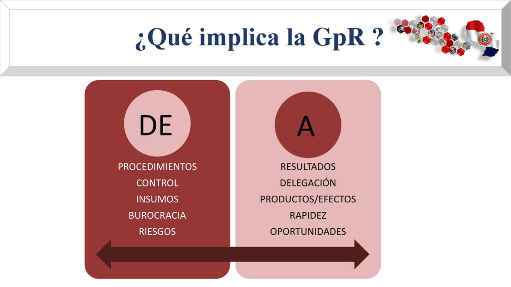 DE A ¿Qué implica la GpR PROCEDIMIENTOS CONTROL INSUMOS BUROCRACIA