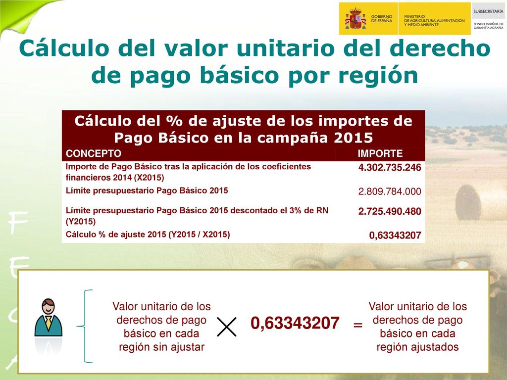 Cálculo del valor unitario del derecho de pago básico por región