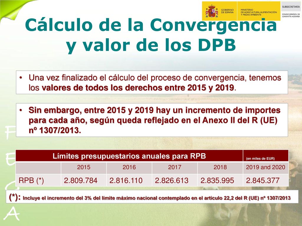 Cálculo de la Convergencia y valor de los DPB