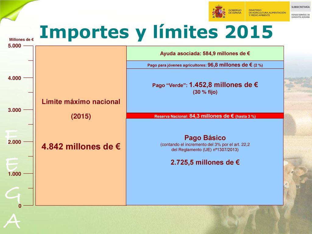 Importes y límites millones de € Limite máximo nacional