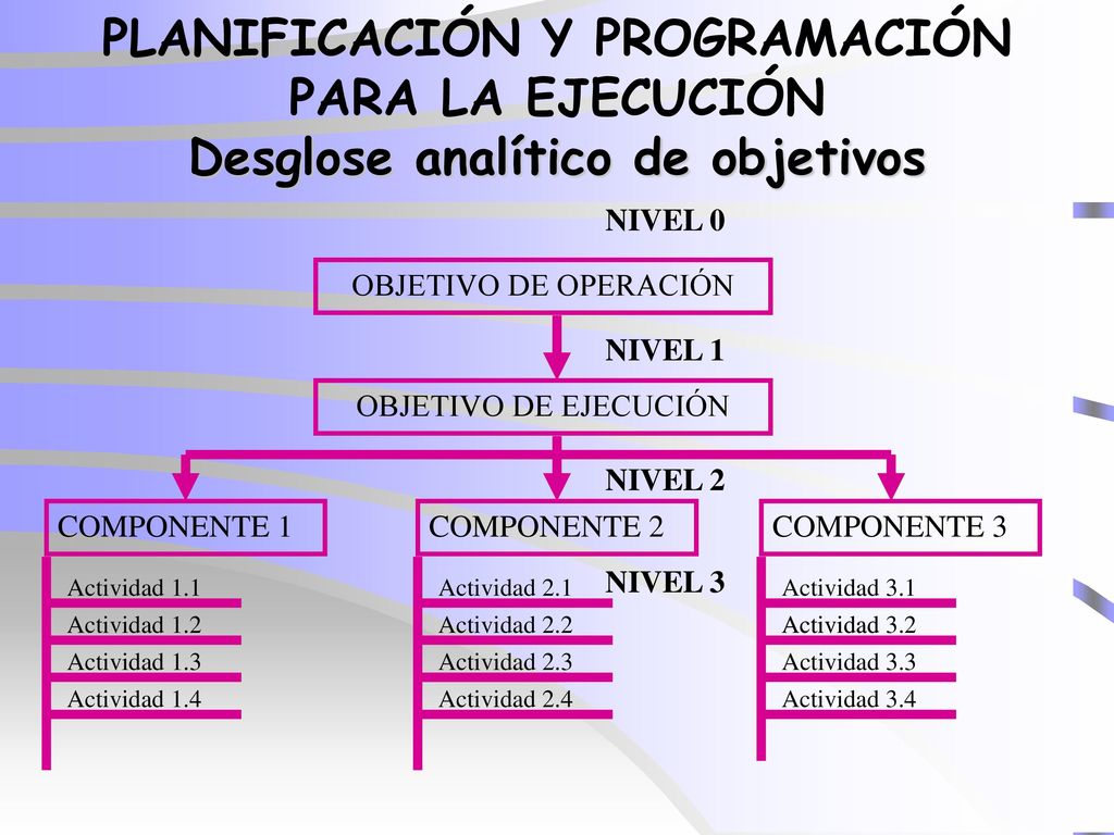 PLANIFICACIÓN Y PROGRAMACIÓN PARA LA EJECUCIÓN Desglose analítico de objetivos