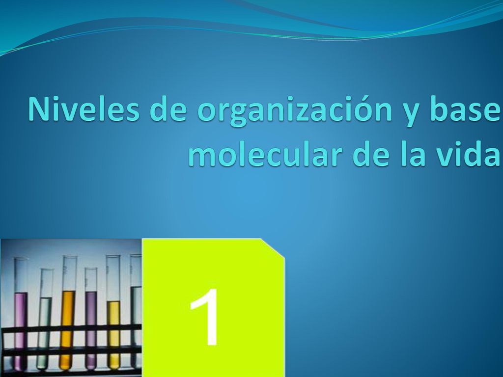 Niveles de organización y base molecular de la vida
