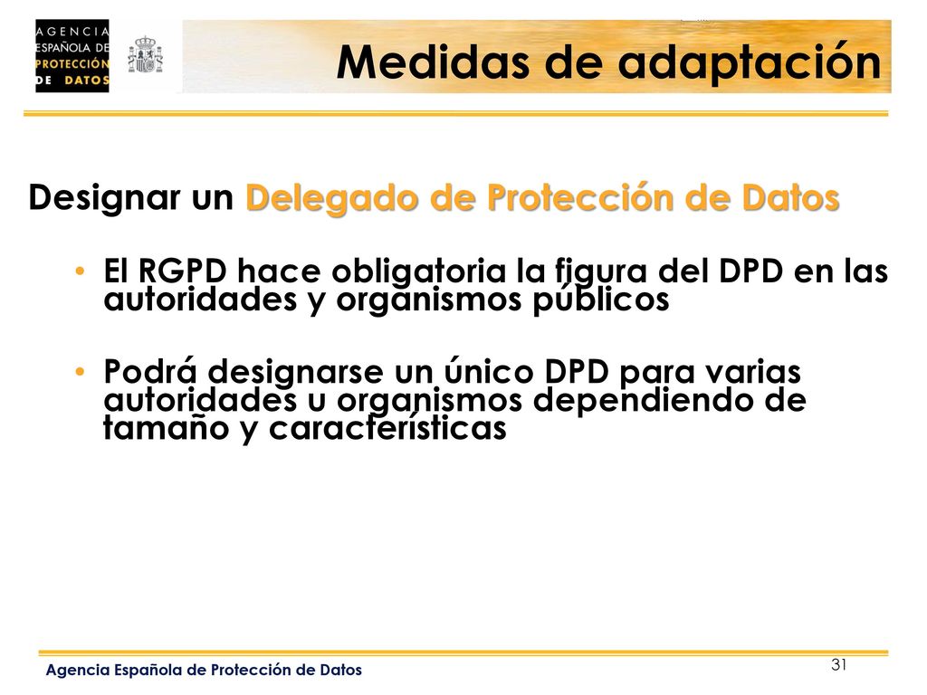 Medidas de adaptación Designar un Delegado de Protección de Datos