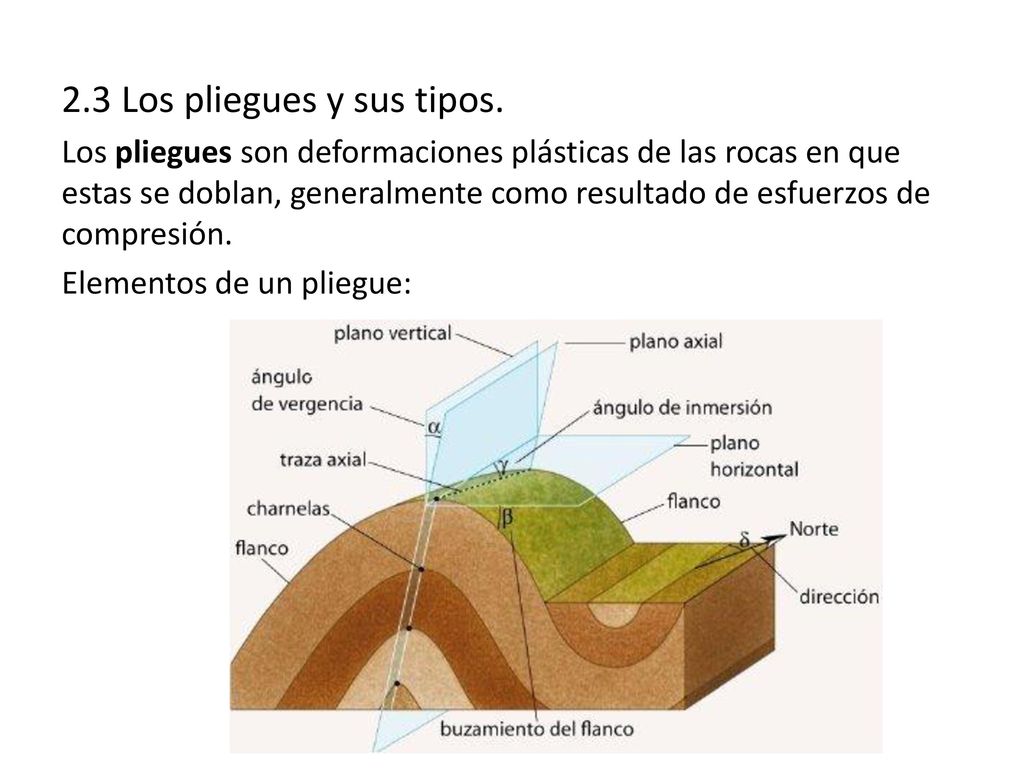 2.3 Los pliegues y sus tipos.