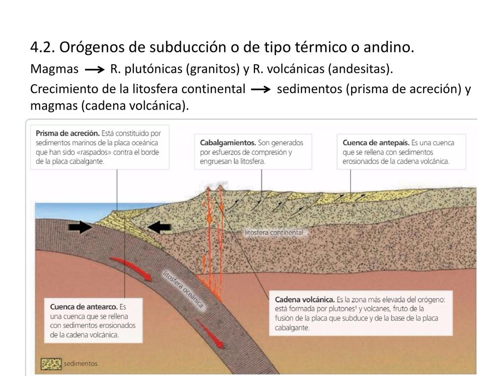 4.2. Orógenos de subducción o de tipo térmico o andino.