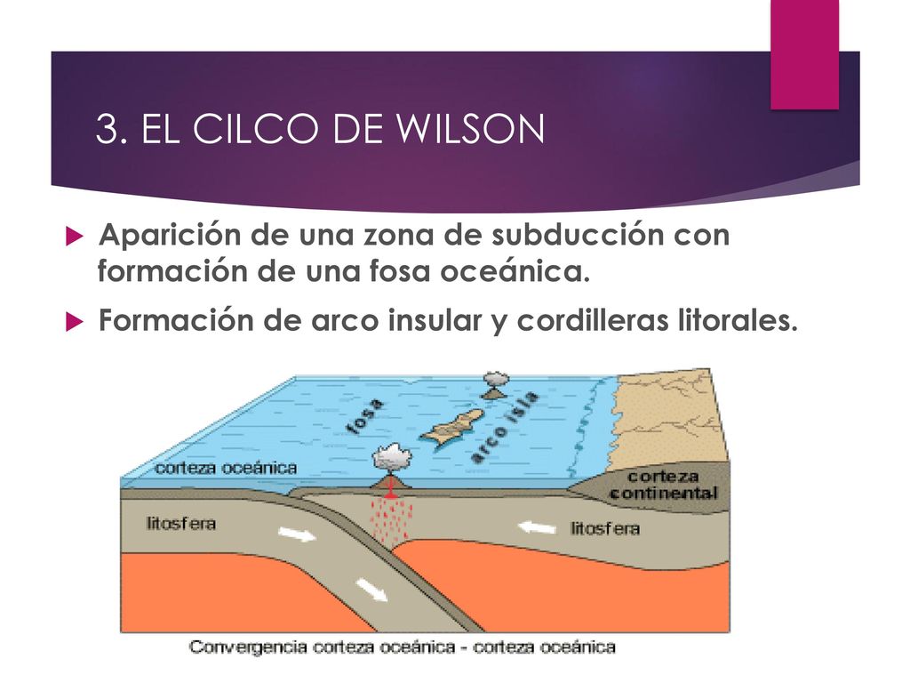3. EL CILCO DE WILSON Aparición de una zona de subducción con formación de una fosa oceánica.