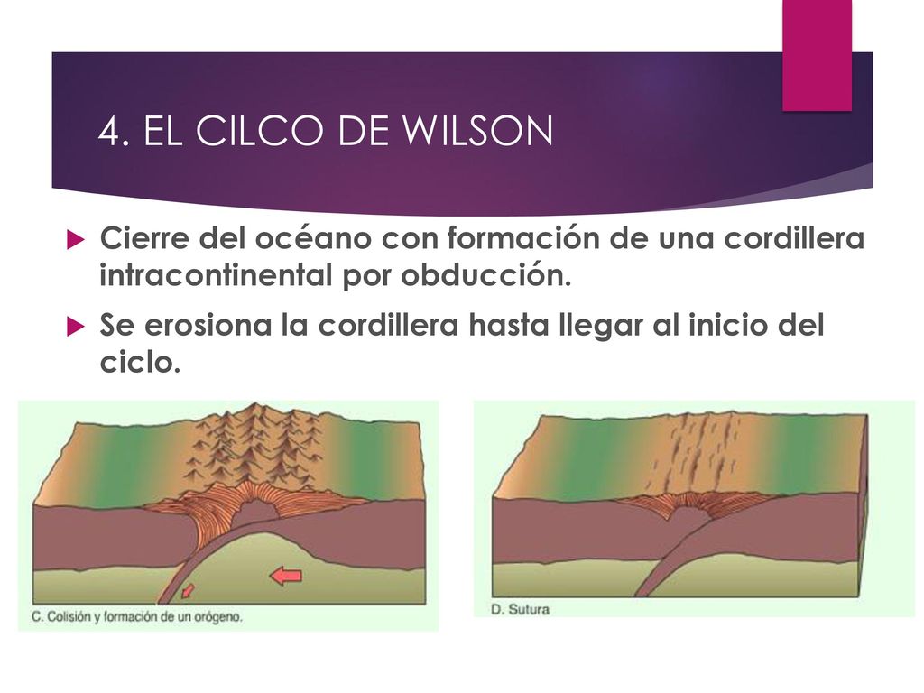 4. EL CILCO DE WILSON Cierre del océano con formación de una cordillera intracontinental por obducción.