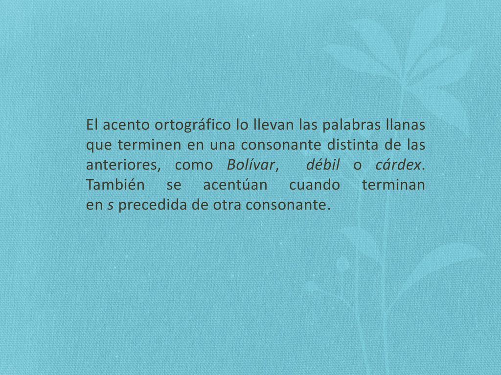 El acento ortográfico lo llevan las palabras llanas que terminen en una consonante distinta de las anteriores, como Bolívar, débil o cárdex.